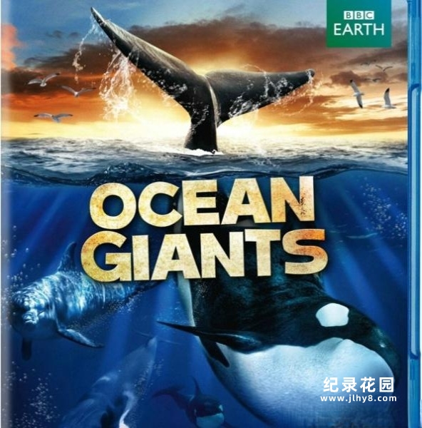 BBC自然生物纪录片《海洋巨物 Ocean Giants》全3集 720P/1080i高清纪录片百度云