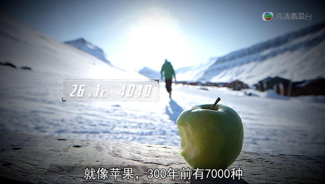 极地狂奔 極地狂奔