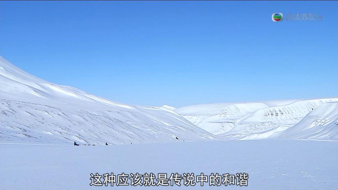 极地狂奔 極地狂奔