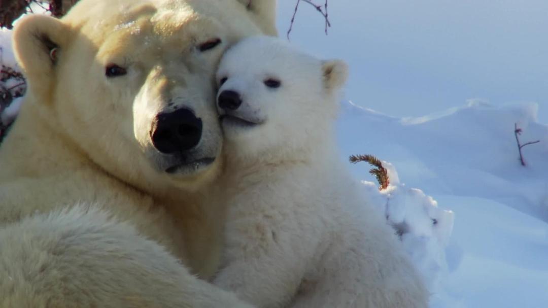 北美大地 North America