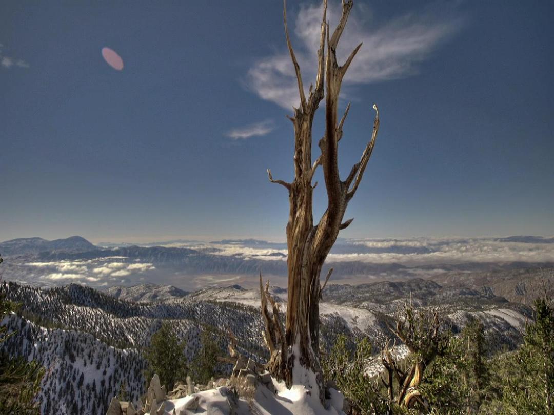 北美大地 North America