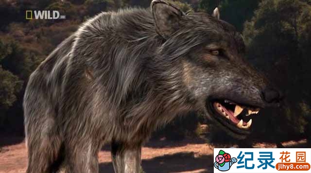 国家地理史前生物纪录片《史前掠食动物 Prehistoric Predators》全7集 720P/1080i高清纪录片资源百度云盘下载