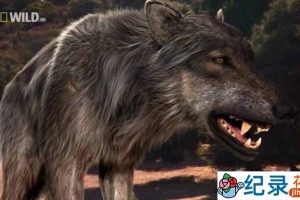 国家地理史前生物纪录片《史前掠食动物 Prehistoric Predators》全7集 720P/1080i高清纪录片资源百度云盘下载