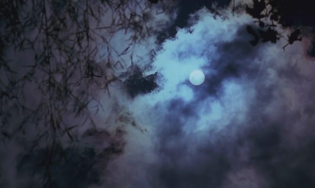 微观世界 Microcosmos: Le peuple de l'herbe