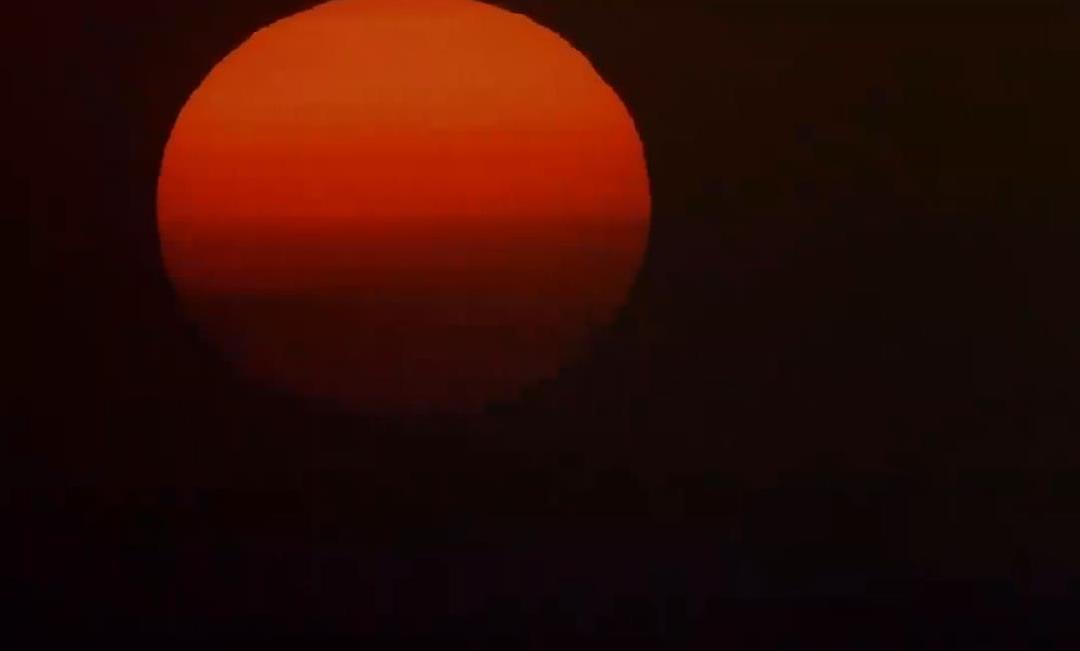 微观世界 Microcosmos: Le peuple de l'herbe