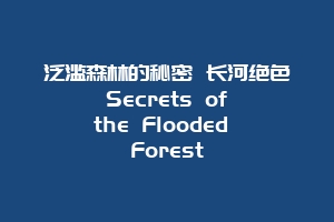 泛滥森林的秘密 长河绝色 Secrets of the Flooded Forest