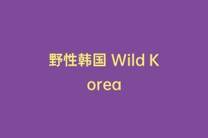 野性韩国 Wild Korea
