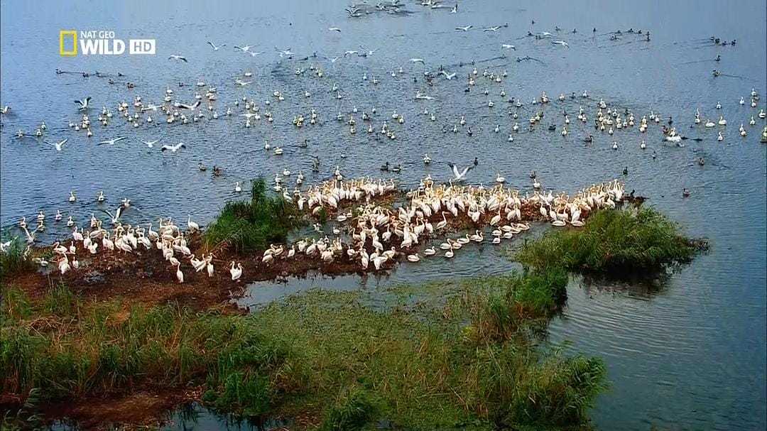 多瑙河：欧洲的亚马逊 Danube: Europe's Amazon