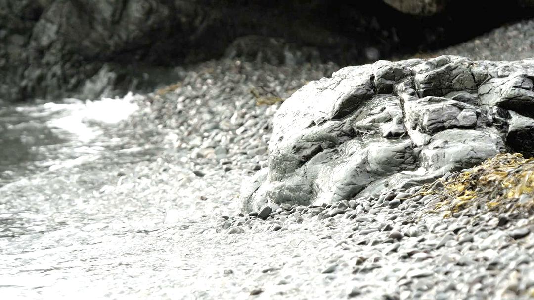 野性加拿大 第一季 Wild Canada Season 1