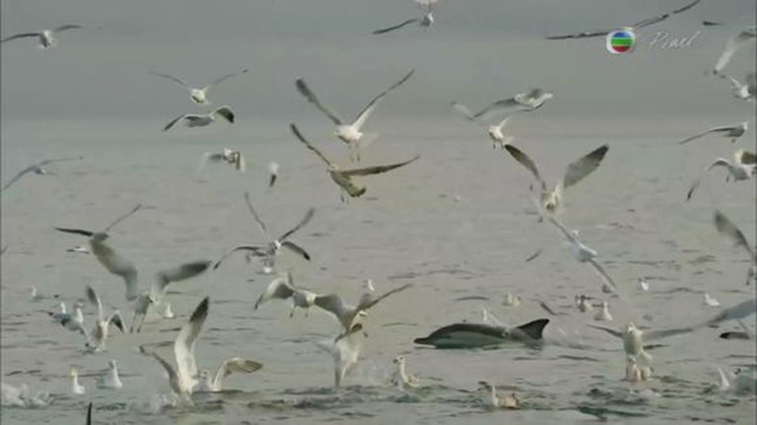 英伦四季 The Great British Year