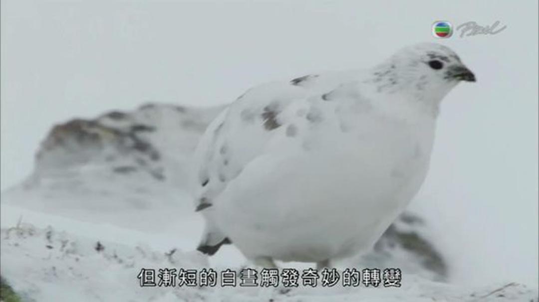 英伦四季 The Great British Year