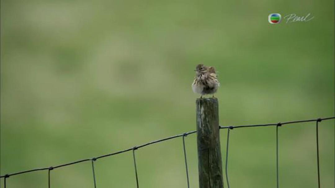 英伦四季 The Great British Year