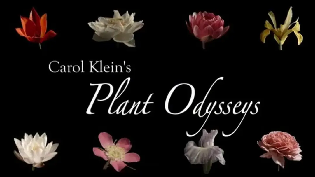 卡罗尔·克莱恩的植物巡礼 Carol Klein's Plant Odysseys