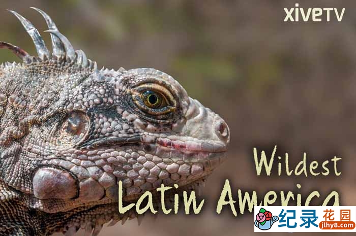 探索频道自然生态纪录片《拉美野生大地 Wildest Latin America》全5集 720P/1080i高清纪录片百度云