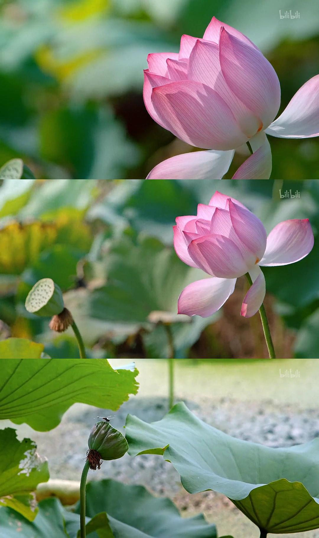 万物滋养 第一季