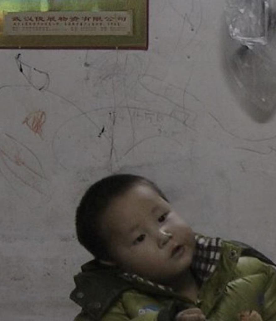 又一年 Another Year