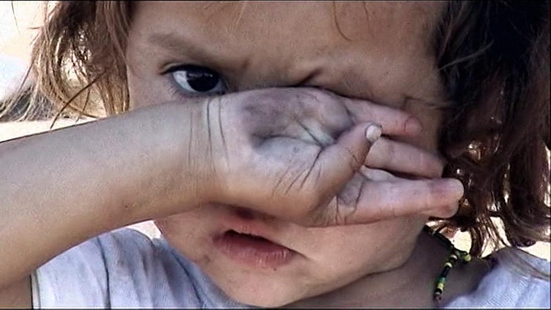 洗劫回忆录 Memoria del saqueo