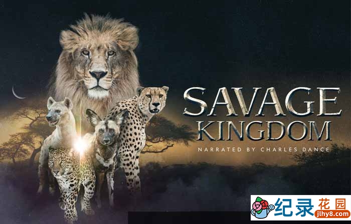 国家地理自然生态纪录片《野蛮王国 Savage Kingdom》第1季 720P/1080i高清纪录片资源百度云盘下载