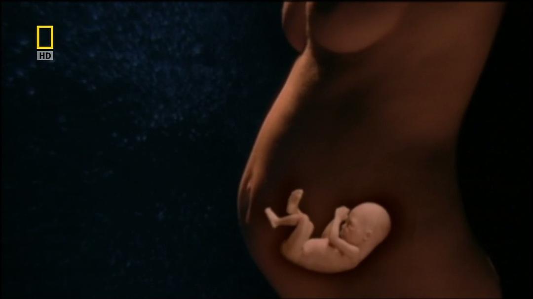 科学新发现：怎样才性感 Naked Science: What's Sexy?