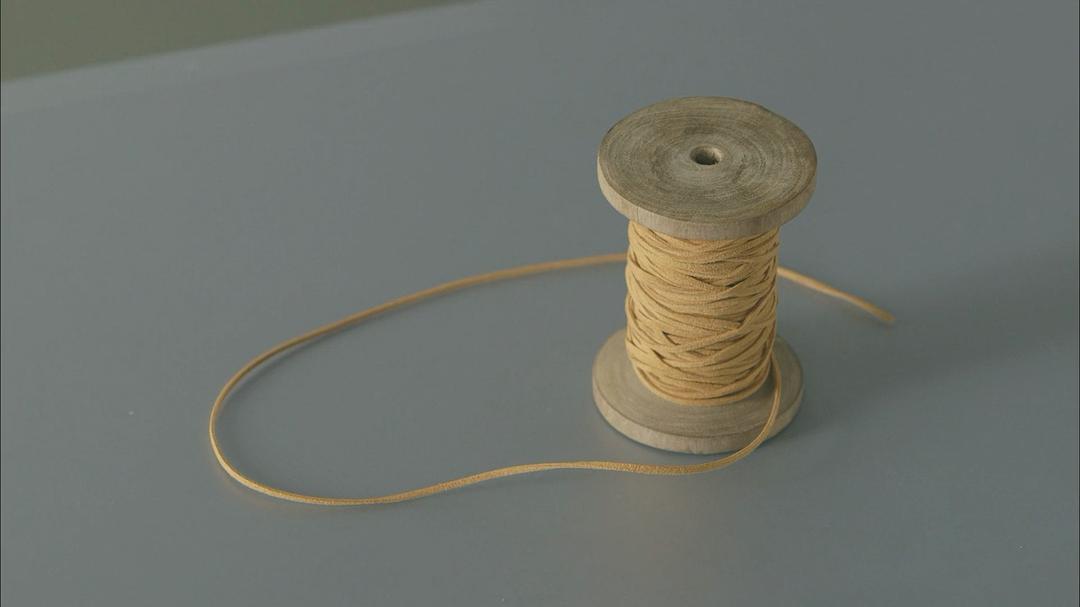 像乌鸦一样思考 考えるカラス ～科学の考え方～