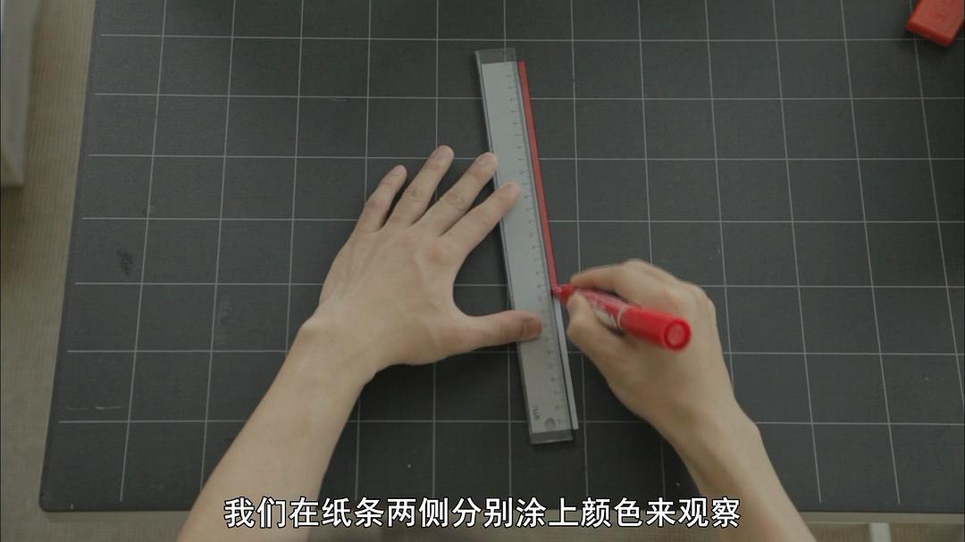 像乌鸦一样思考 考えるカラス ～科学の考え方～