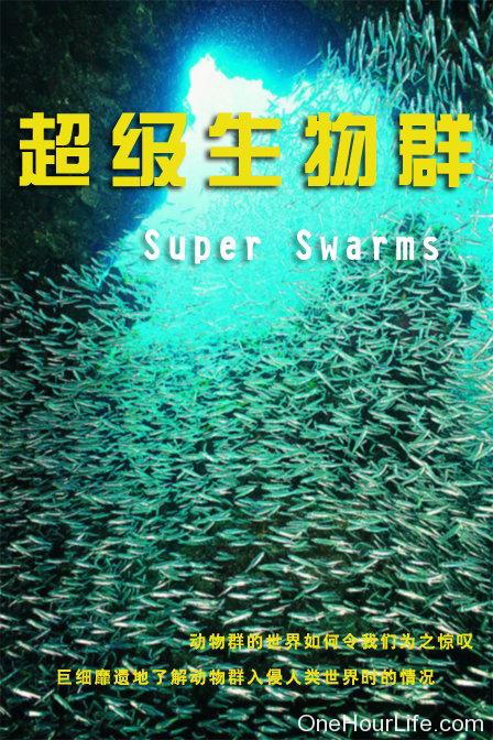 超级群体 Superswarms