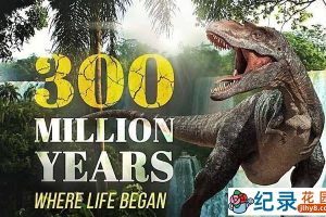 史前恐龙纪录片《欧洲三亿年 300 Million Years》全2集中字 TS/蓝光高清纪录片资源百度云盘下载