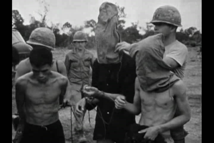 猪年 In the Year of the Pig