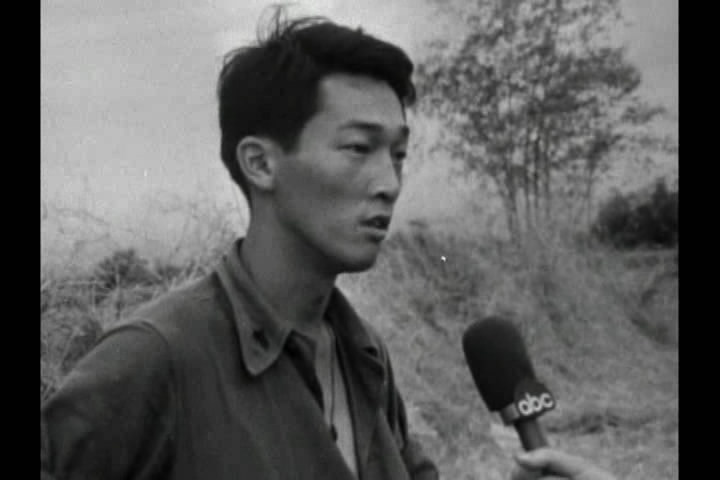 猪年 In the Year of the Pig