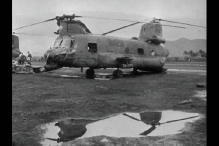 猪年 In the Year of the Pig