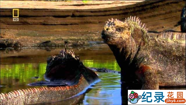 国家地理生命探索纪录片《达尔文的演化远征 Darwin’s Lost Voyage》全7集 720P/1080i高清纪录片百度云下载