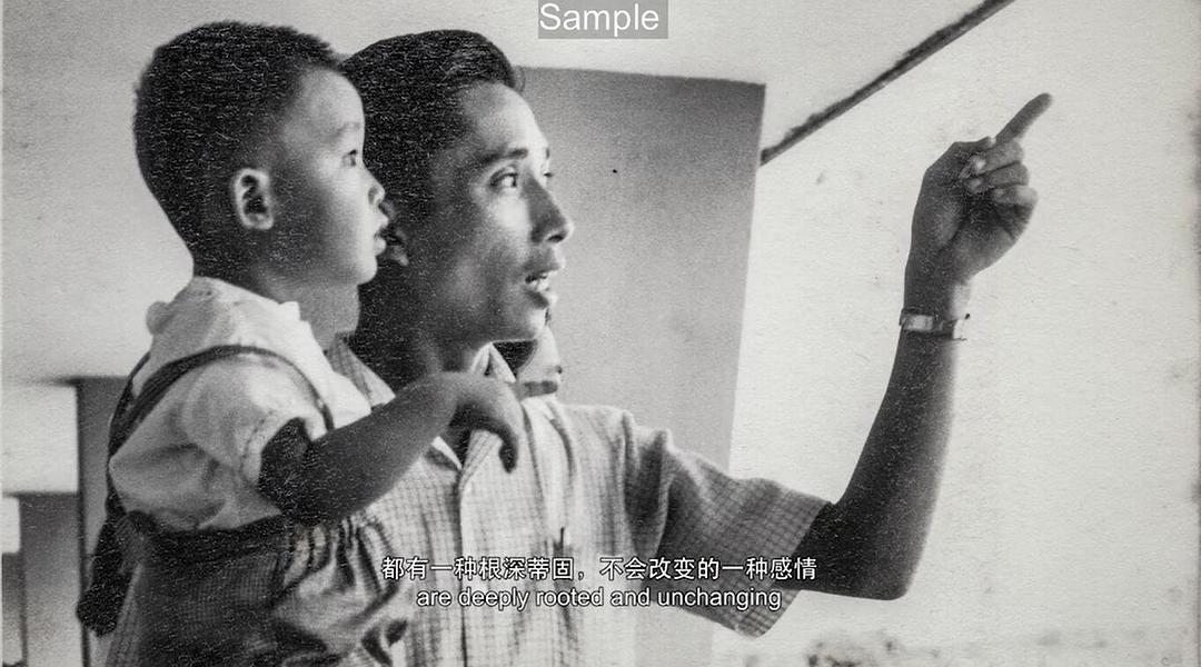 我们唱着的歌 The Songs We Sang