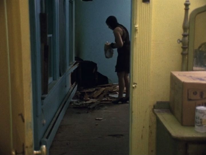 灰色花园中的比尔母女 The Beales of Grey Gardens