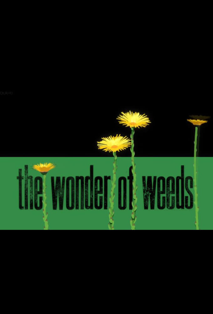 奇妙的杂草 The Wonder of Weeds