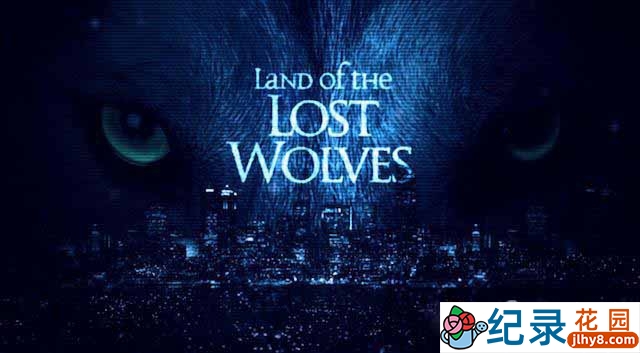 BBC自然生态纪录片《狼群失落之地 Land of the Lost Wolves》全2集 720P/1080i高清纪录片百度云下载