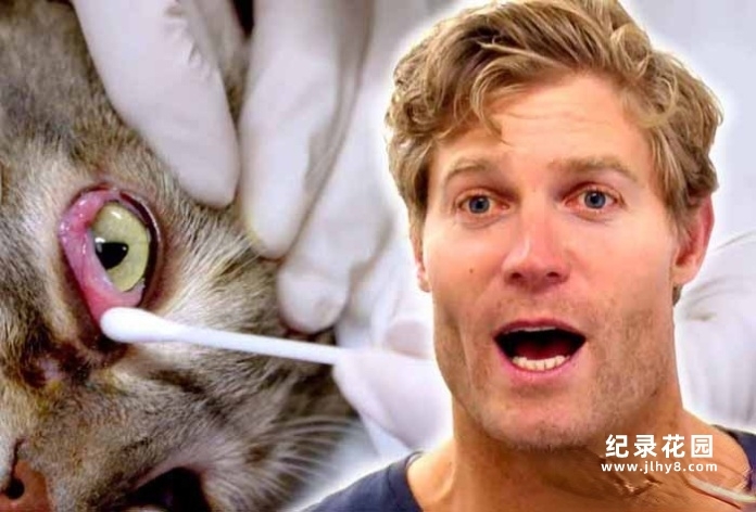 拯救动物纪录片《邦迪宠物医院》第1季中字 1080P高清自媒体解说素材百度云盘下载