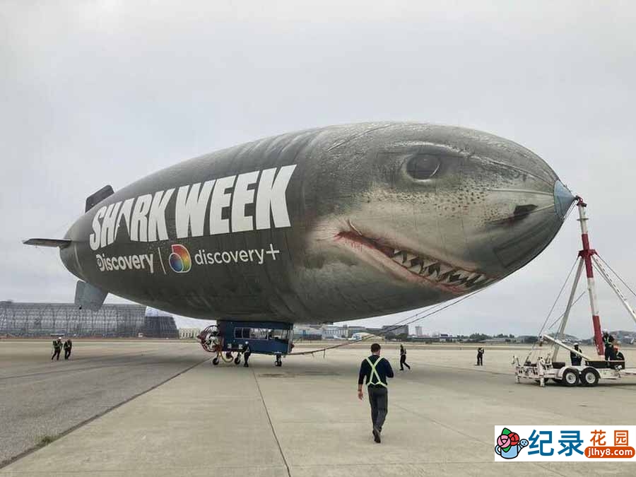 探索频道鲨鱼研究纪录片《鲨鱼周 2012 Shark Week》全9集中字 纪录片解说素材百度云盘下载 1080/MP4/21.8G
