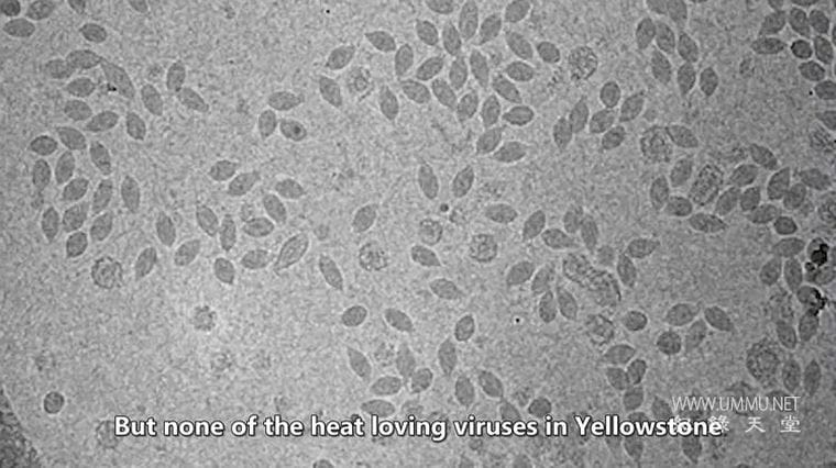 古代黄石公园 第一季全3集 Ancient Yellowstone