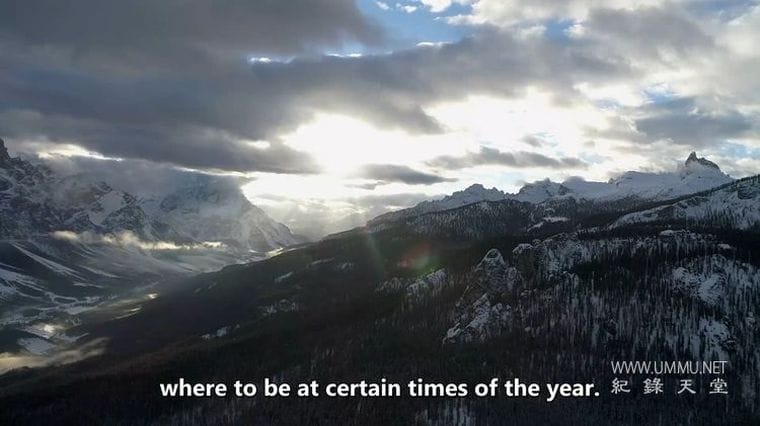 古代黄石公园 第一季全3集 Ancient Yellowstone