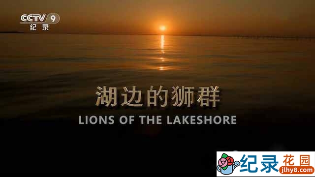 BBC野生动物纪录片《湖边的狮群 Lions of the Lakeshore》全1集中字 TS/蓝光高清纪录片资源百度云盘下载