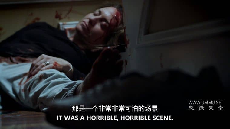 美国谋杀之谜：楼梯 An American Murder Mystery: The Staircase