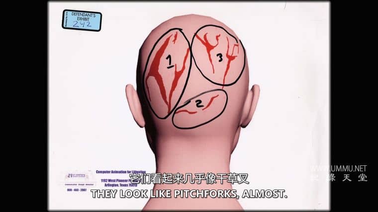 美国谋杀之谜：楼梯 An American Murder Mystery: The Staircase