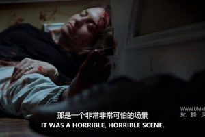 美国谋杀之谜：楼梯 An American Murder Mystery: The Staircase