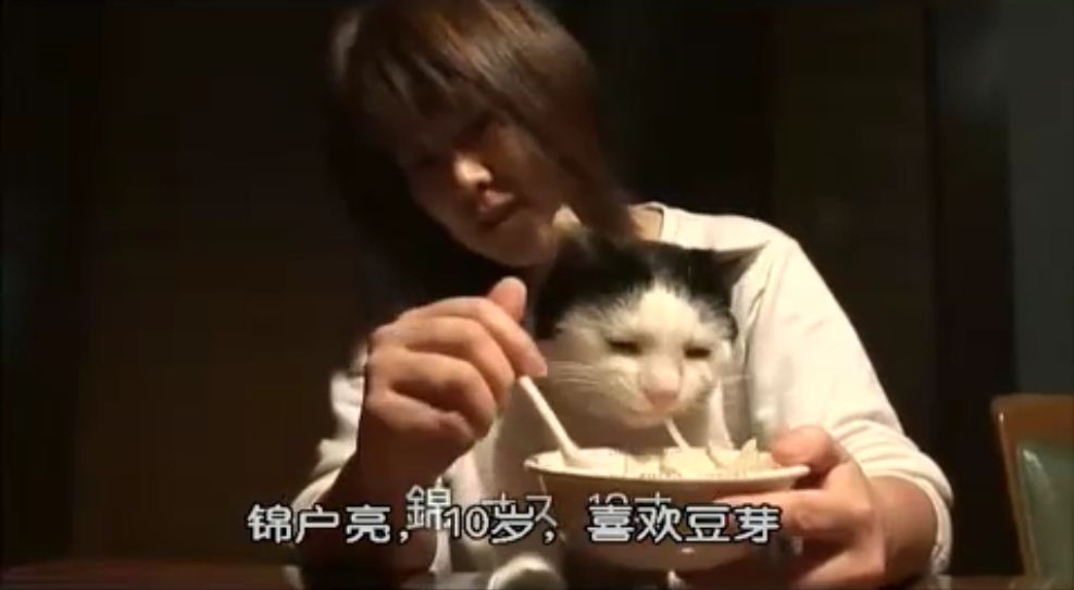 猫咪物语2 にゃんこ THE MOVIE2