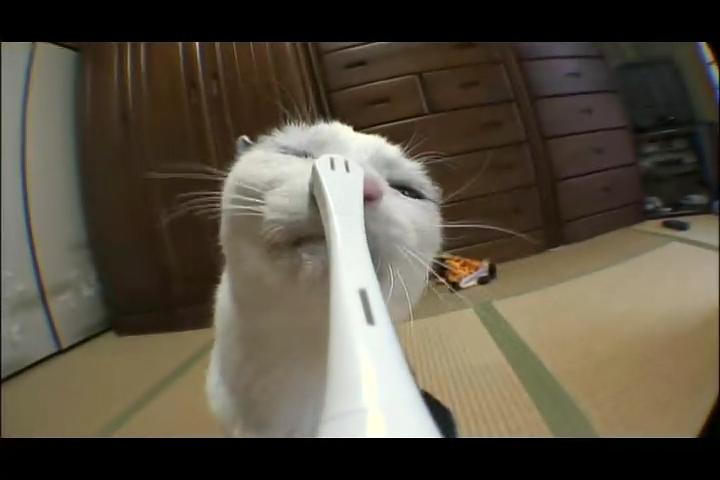 猫咪物语2 にゃんこ THE MOVIE2