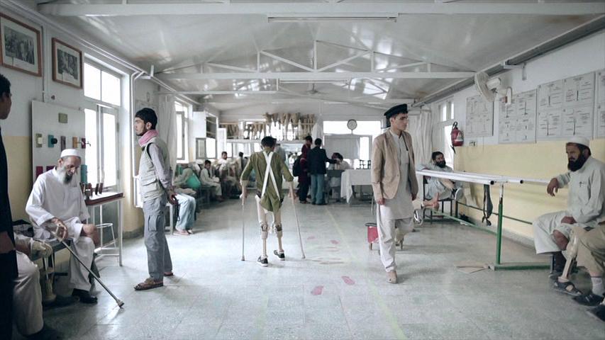 国鸟 National Bird