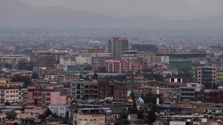 国鸟 National Bird