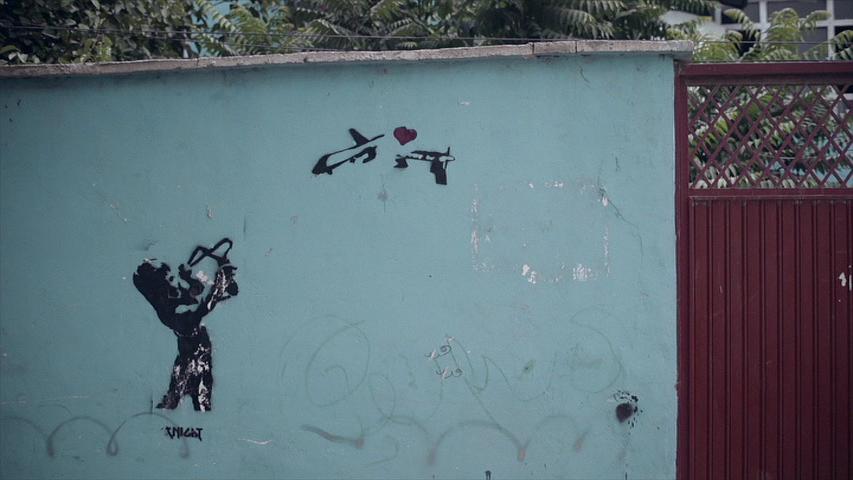 国鸟 National Bird