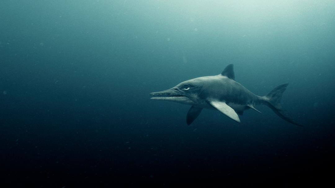 爱登堡爵士和海龙 Attenborough and the Sea Dragon