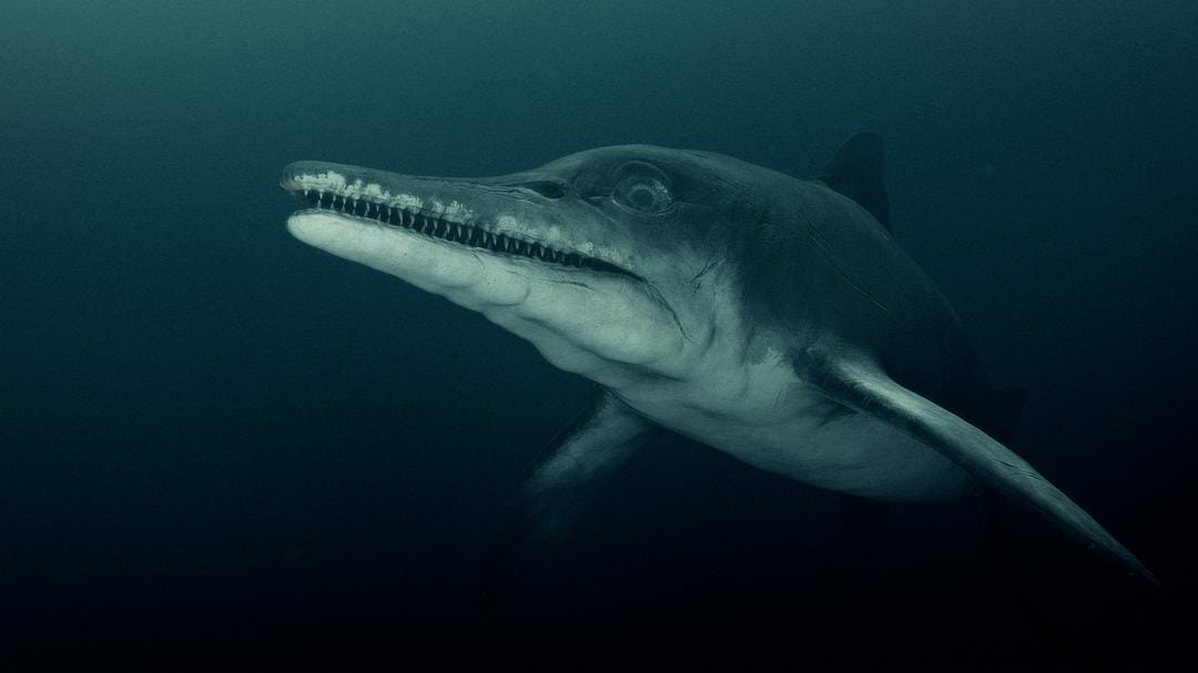 爱登堡爵士和海龙 Attenborough and the Sea Dragon